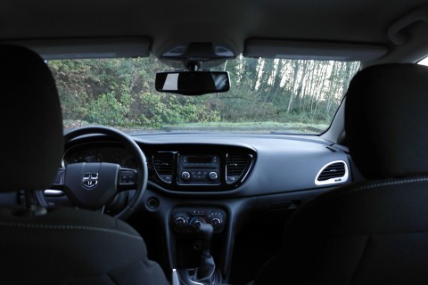 Black Cotton Interior